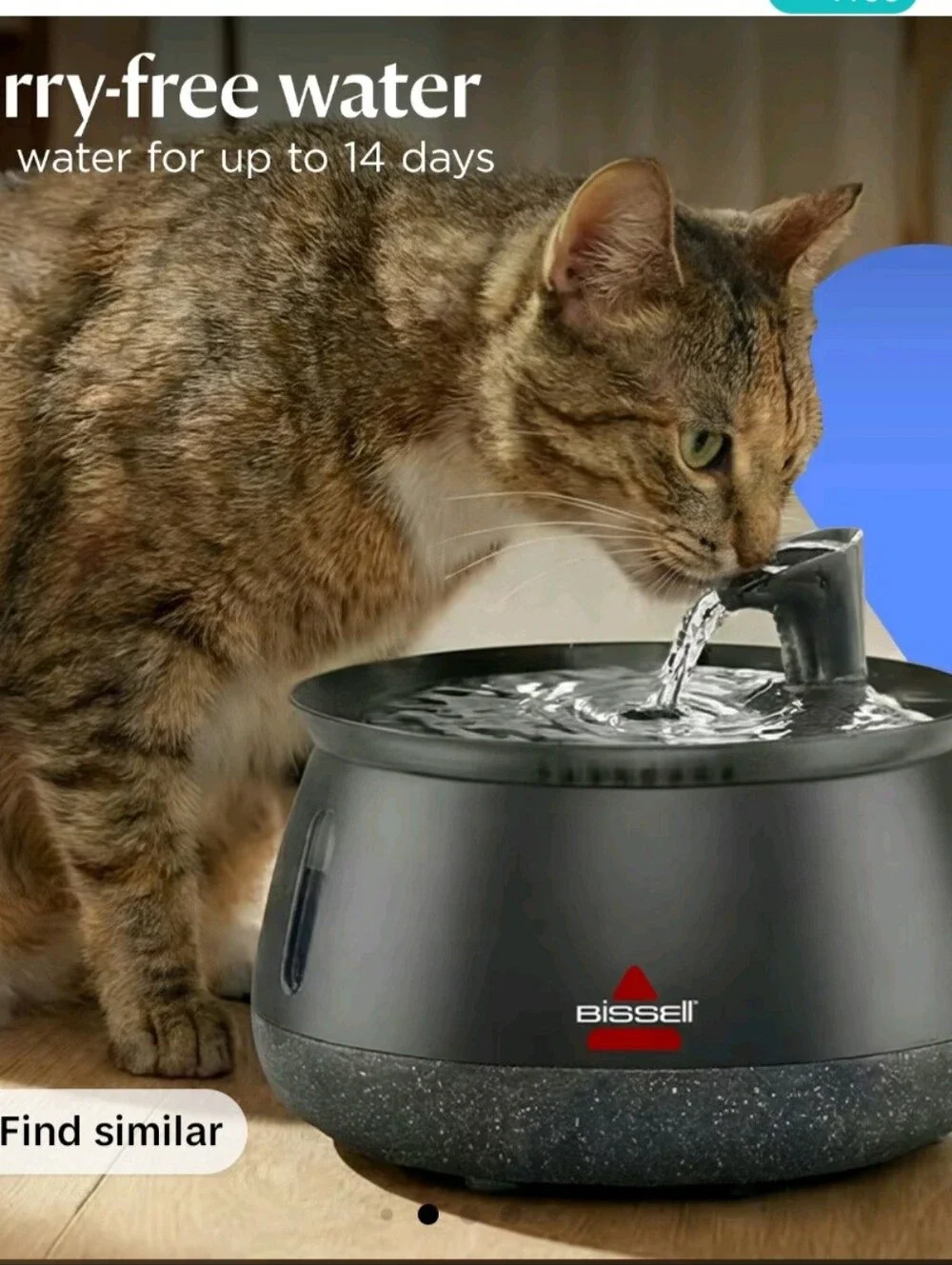 Bissell Black Automatic Cat Water Fountain